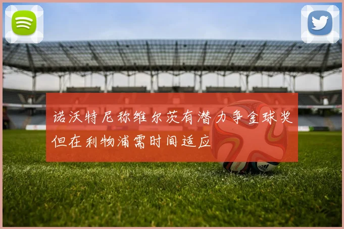 诺沃特尼称维尔茨有潜力争金球奖但在利物浦需时间适应