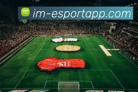 IM电竞平台生态图